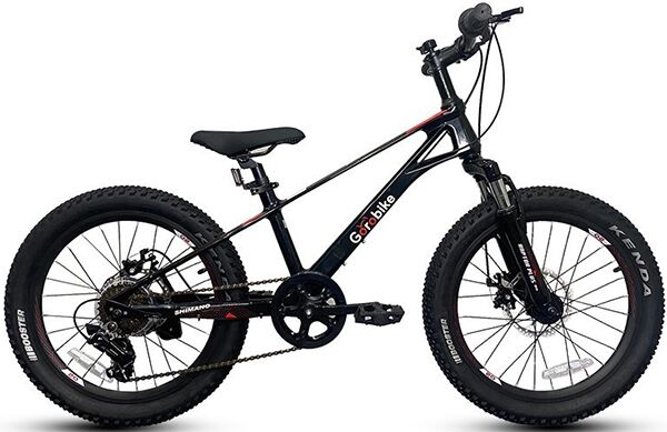 Xe đạp trẻ em Gorobike Raptor Plus 20